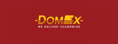 Domex Courier Tracking Logo